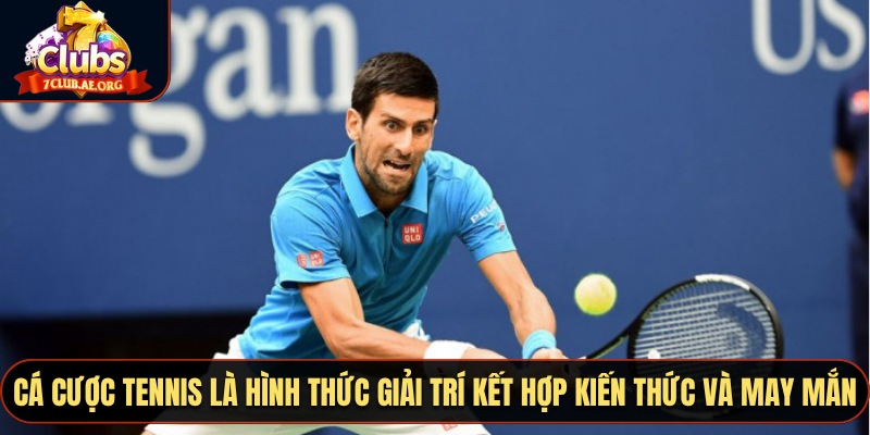 Cá cược tennis là hình thức giải trí kết hợp kiến thức và may mắn